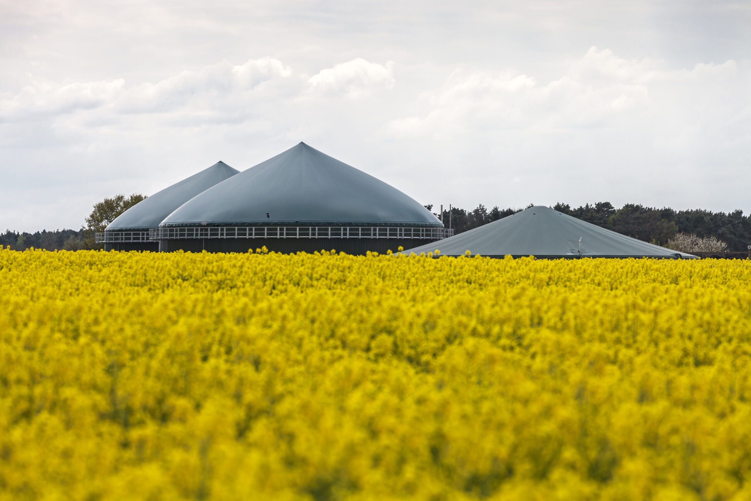 Biogas plans