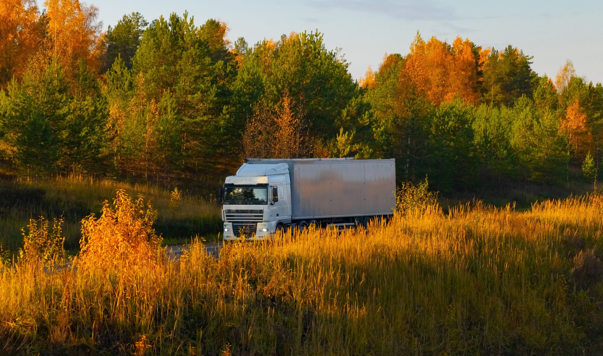 A truck of an unknown brand is driving on a road in an autumnal landscape